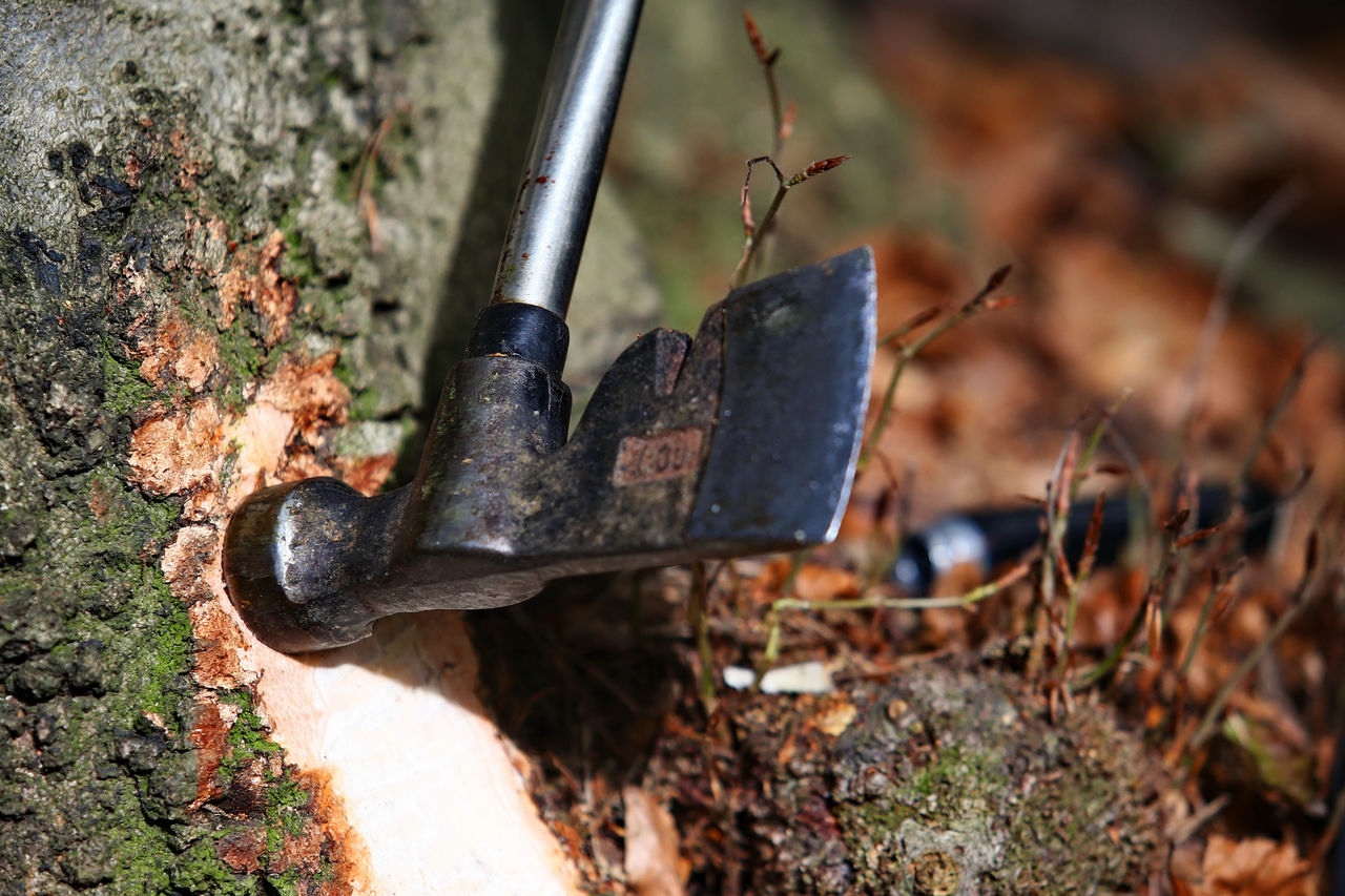 L' Attività Forestale di Formaira